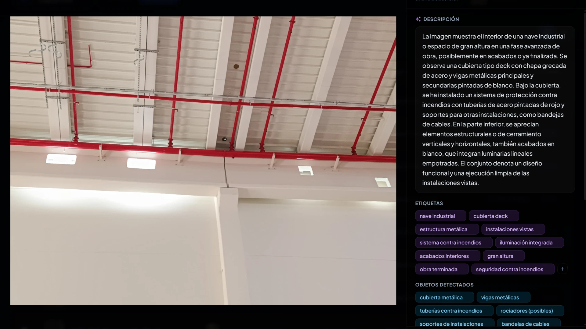 Visor de foto con descripción automática y etiquetas generadas por IA